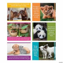 Outlet 🥰 Baby Animals Faith Messages Poster Set - 6 Pc. 👏